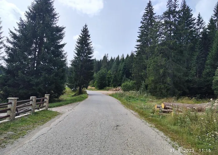 فيلة Carobna Suma Tara *